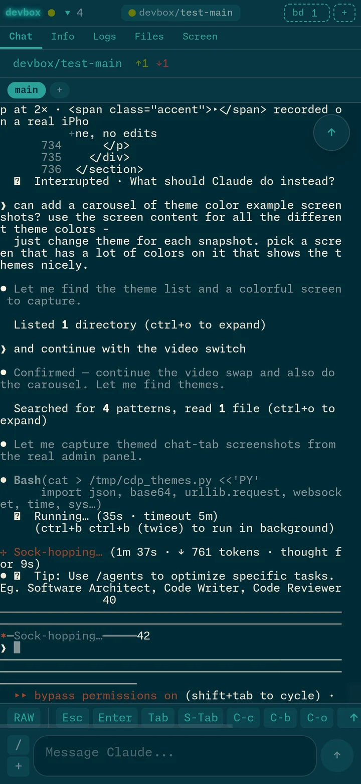 Chat tab with Solarized theme